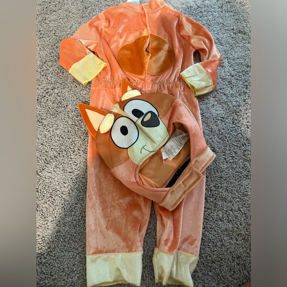 Bingo costume